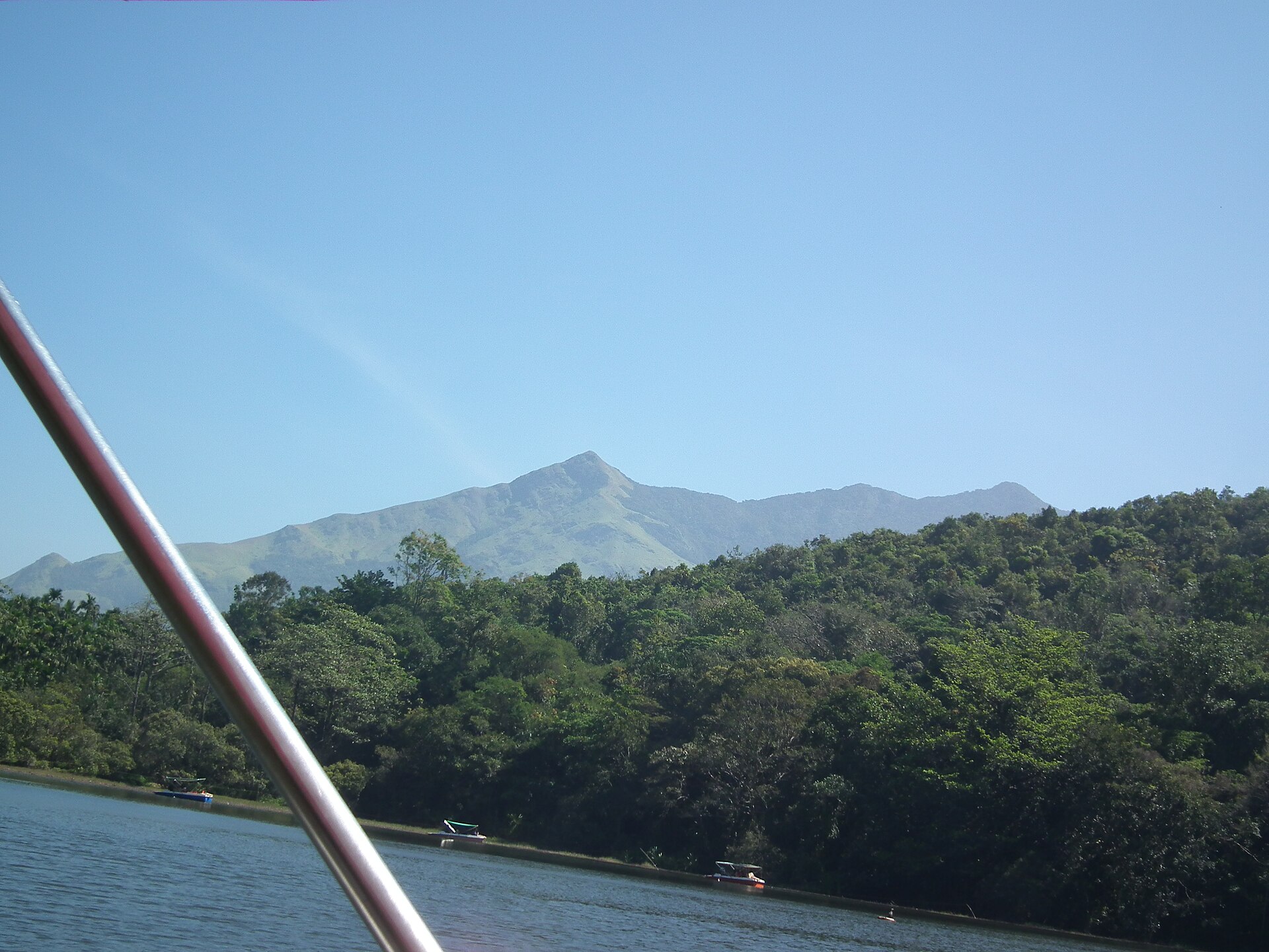Wayanad Travel Guide: 10 Surprising Things to Know Before You Go